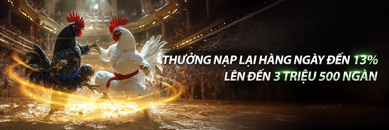 Đấu gà trực tuyến kịch tính tại MAN88 Code